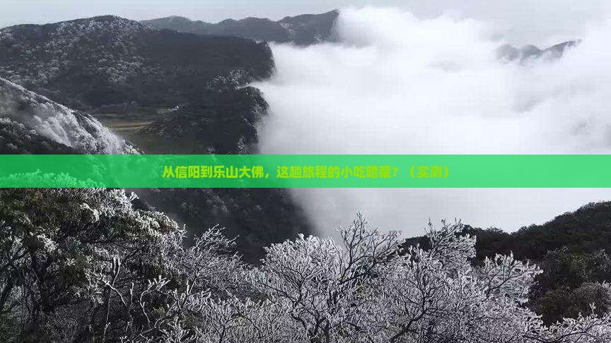 信阳到四川乐山大佛旅游小吃