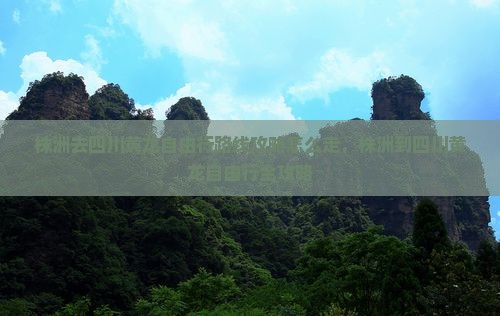 株洲去四川黄龙自由行