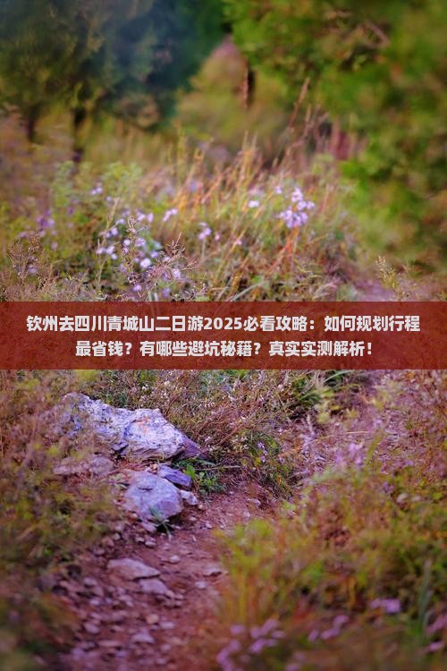 钦州去四川青城山二日游