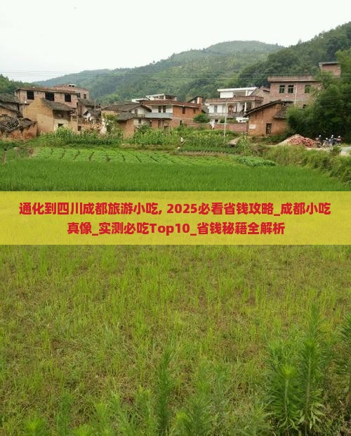 通化到四川成都旅游小吃 通化到四川成都旅游小吃