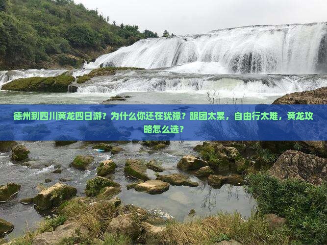 德州到四川黄龙四日游