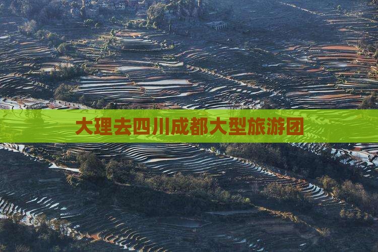 大理去四川成都大型旅游团