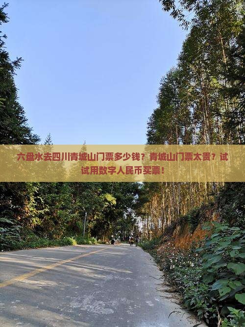 六盘水去四川青城山门票多少钱？青城山门票太贵？试试用数字人民币买票！