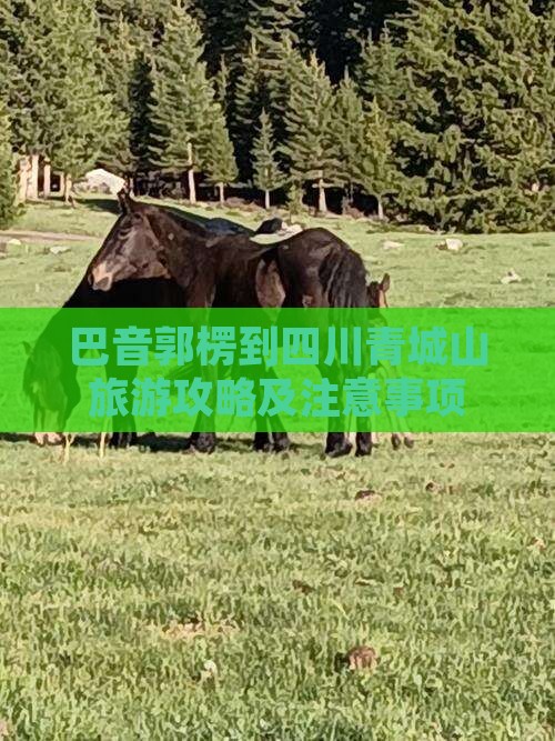 巴音郭楞到四川青城山旅游攻略及注意事项