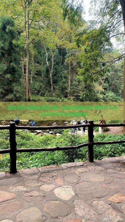 烟台到四川峨眉山四日游？峨眉山避暑胜地+网红打卡点，这个夏天不自驾都后悔！