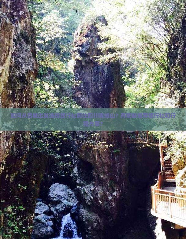 如何从晋城出发选择旅行社前往四川青城山？有哪些推荐旅行社和行程方案？