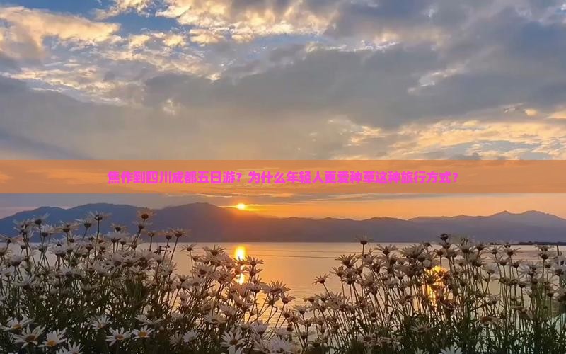 焦作到四川成都五日游？为什么年轻人更爱种草这种旅行方式？