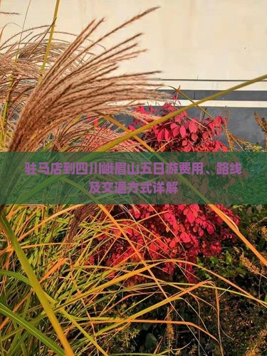 驻马店到四川峨眉山五日游费用、路线及交通方式详解