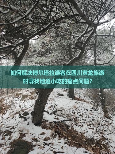 如何解决博尔塔拉游客在四川黄龙旅游时寻找地道小吃的痛点问题？