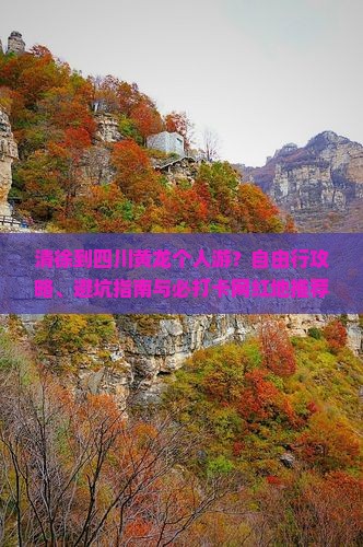 清徐到四川黄龙个人游？自由行攻略、避坑指南与必打卡网红地推荐