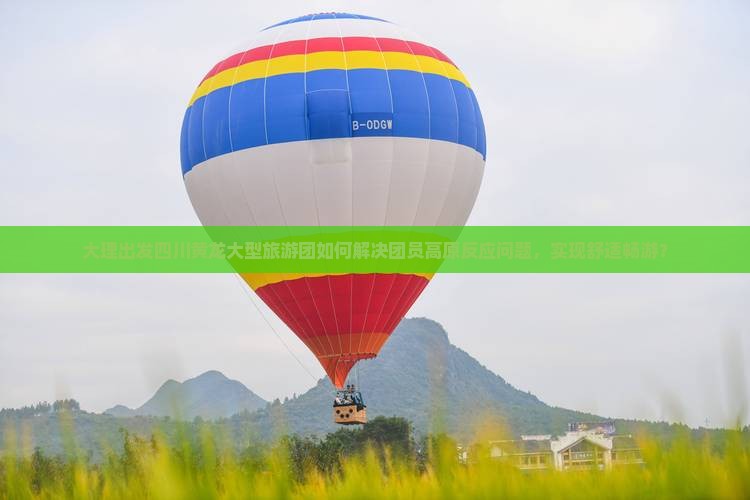 大理出发四川黄龙大型旅游团如何解决团员高原反应问题，实现舒适畅游？