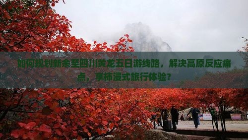 如何规划新余至四川黄龙五日游线路，解决高原反应痛点，享柿浸式旅行体验？