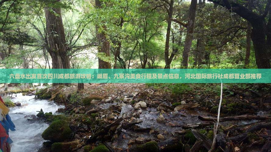 六盘水出发首次四川成都旅游攻略：峨眉、九寨沟美食行程及景点信息，河北国际旅行社成都营业部推荐