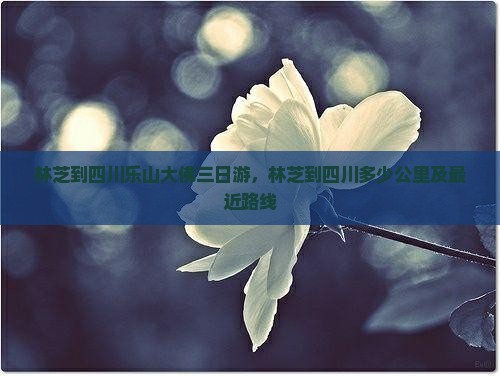 林芝到四川乐山大佛三日游，林芝到四川多少公里及最近路线