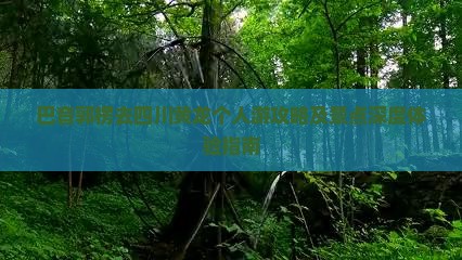 巴音郭楞去四川黄龙个人游攻略及景点深度体验指南