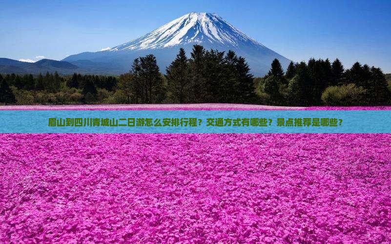 眉山到四川青城山二日游怎么安排行程？交通方式有哪些？景点推荐是哪些？