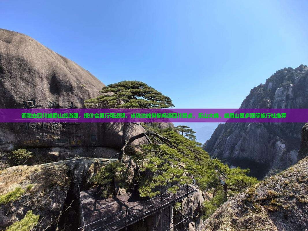 铜陵去四川峨眉山旅游团，报价合理行程透明，省钱攻略带你畅游四川景点，乐山大佛、峨眉山更多国际旅行社推荐