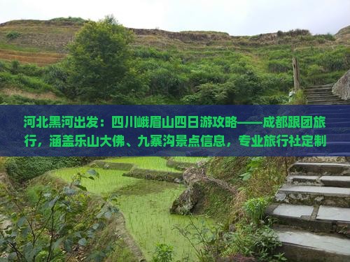 河北黑河出发：四川峨眉山四日游攻略——成都跟团旅行，涵盖乐山大佛、九寨沟景点信息，专业旅行社定制行程