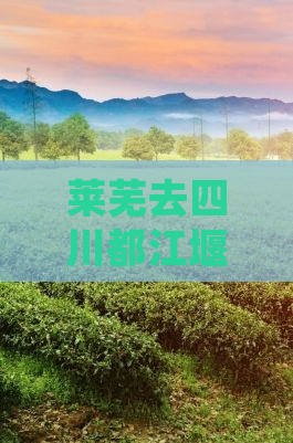 莱芜去四川都江堰旅游：攻略与路线指南