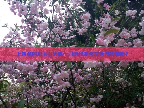 上饶至四川乐山大佛一日游攻略与交通方式解析？