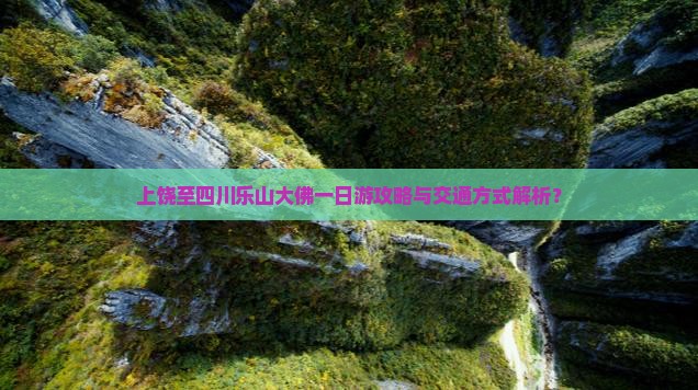 上饶至四川乐山大佛一日游攻略与交通方式解析？