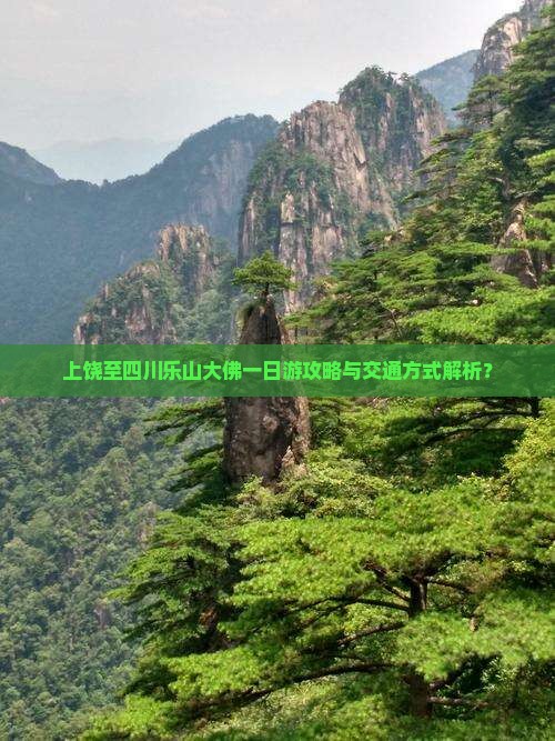 上饶至四川乐山大佛一日游攻略与交通方式解析？