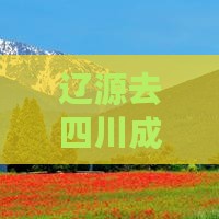 辽源去四川成都门票价格查询