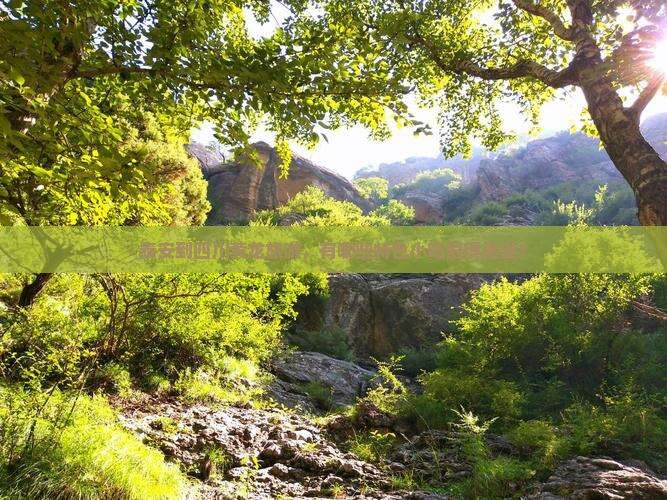 泰安到四川黄龙旅游，有哪些特色小吃值得品尝？