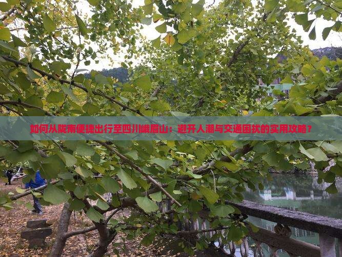 如何从陇南便捷出行至四川峨眉山：避开人潮与交通困扰的实用攻略？
