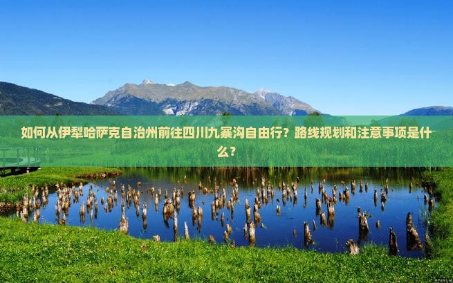 如何从伊犁哈萨克自治州前往四川九寨沟自由行？路线规划和注意事项是什么？