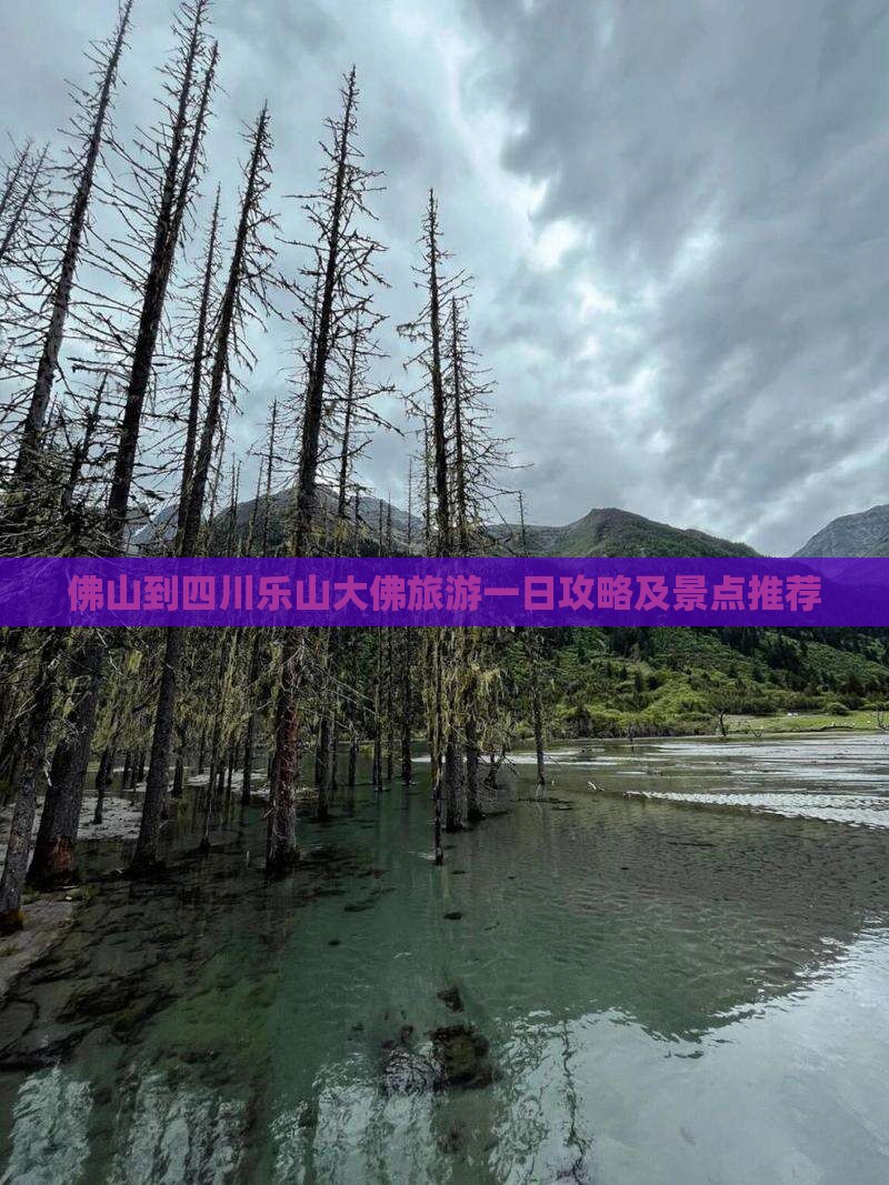 佛山到四川乐山大佛旅游一日攻略及景点推荐