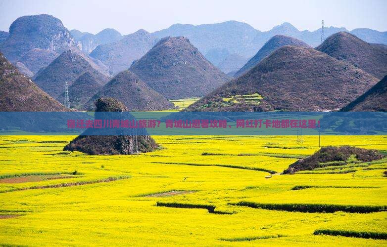 宿迁去四川青城山旅游？青城山避暑攻略、网红打卡地都在这里！