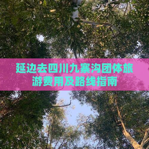 延边去四川九寨沟团体旅游费用及路线指南