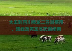 大丰到四川黄龙二日游费用、路线及黄龙溪交通指南