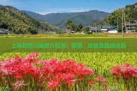 上海到四川成都六日游：费用、攻略及路线详解