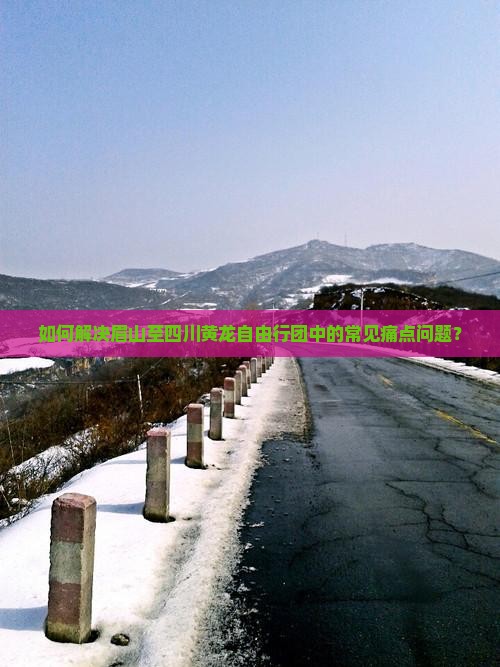 如何解决眉山至四川黄龙自由行团中的常见痛点问题？