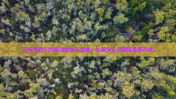 元旦去四川九寨沟自由行攻略：九寨沟元旦期间是否开放