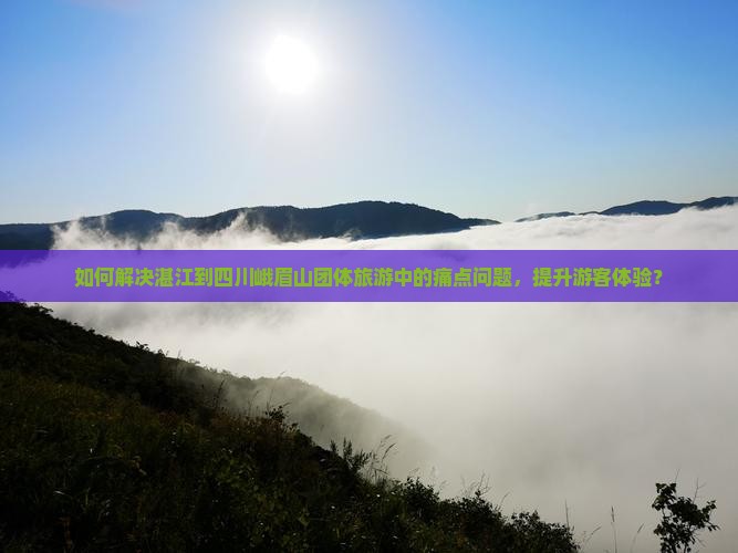 如何解决湛江到四川峨眉山团体旅游中的痛点问题，提升游客体验？