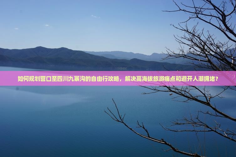 如何规划营口至四川九寨沟的自由行攻略，解决高海拔旅游痛点和避开人潮拥堵？