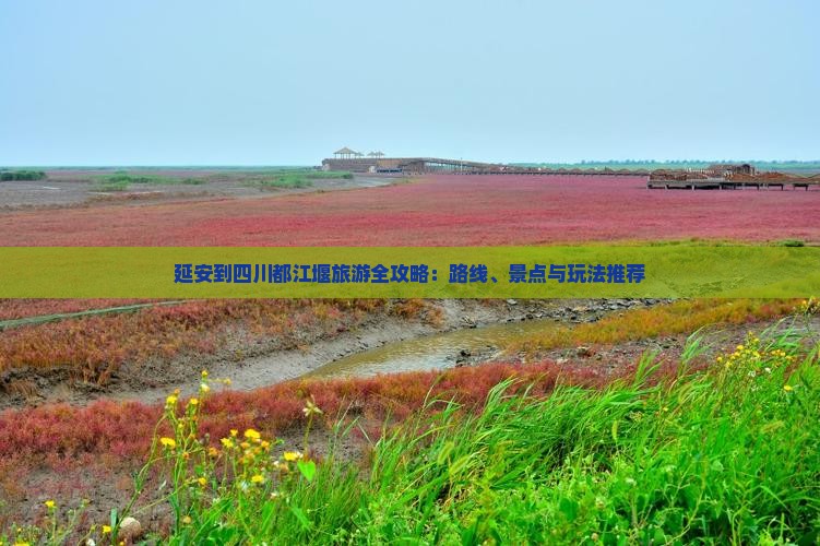 延安到四川都江堰旅游全攻略：路线、景点与玩法推荐