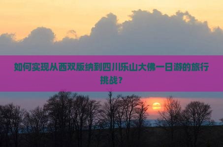 如何实现从西双版纳到四川乐山大佛一日游的旅行挑战？