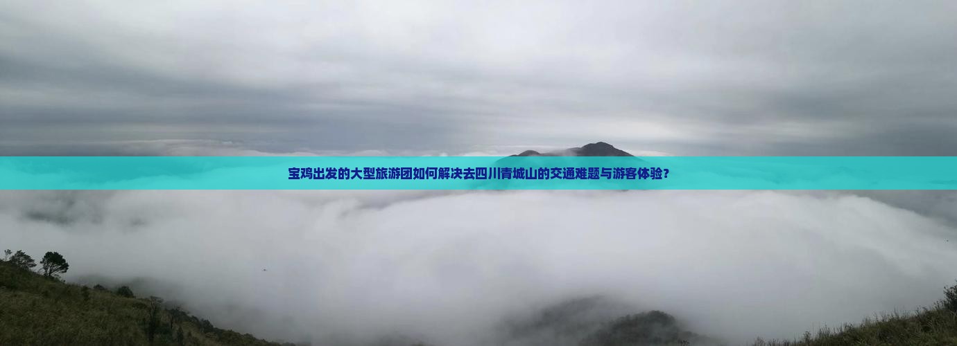 宝鸡出发的大型旅游团如何解决去四川青城山的交通难题与游客体验？