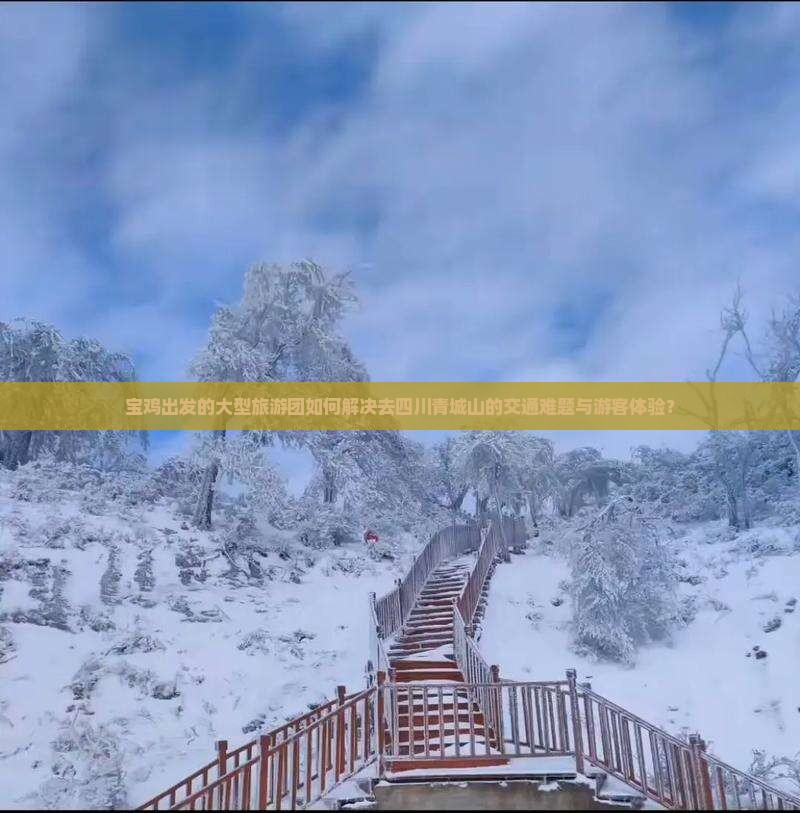 宝鸡出发的大型旅游团如何解决去四川青城山的交通难题与游客体验？
