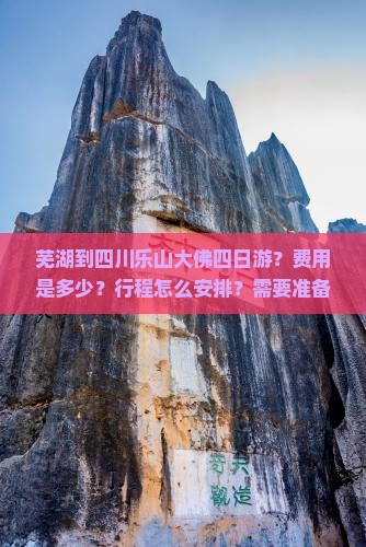 芜湖到四川乐山大佛四日游？费用是多少？行程怎么安排？需要准备什么？