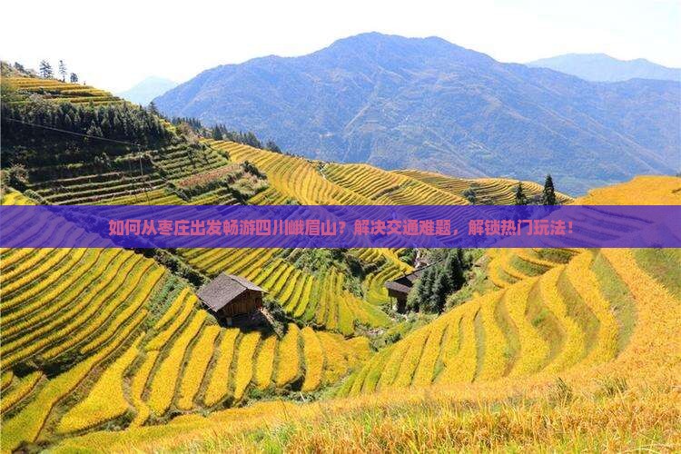 如何从枣庄出发畅游四川峨眉山？解决交通难题，解锁热门玩法！