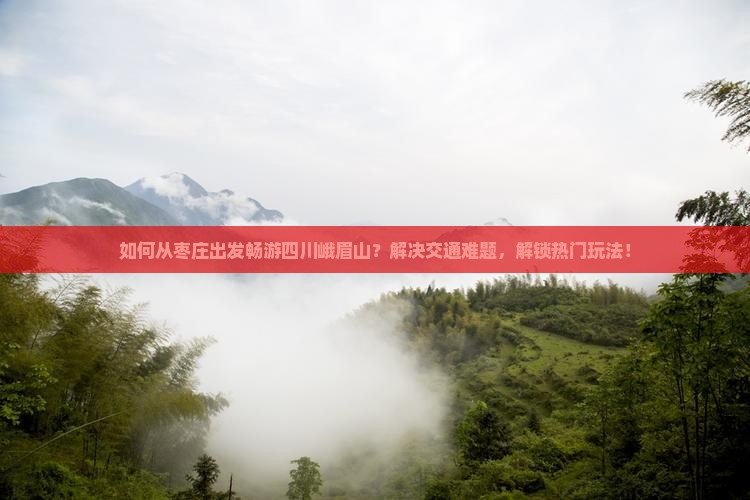 如何从枣庄出发畅游四川峨眉山？解决交通难题，解锁热门玩法！