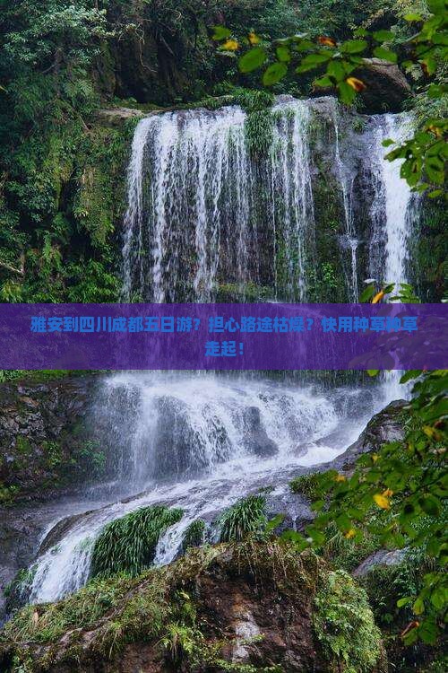 雅安到四川成都五日游？担心路途枯燥？快用种草种草走起！