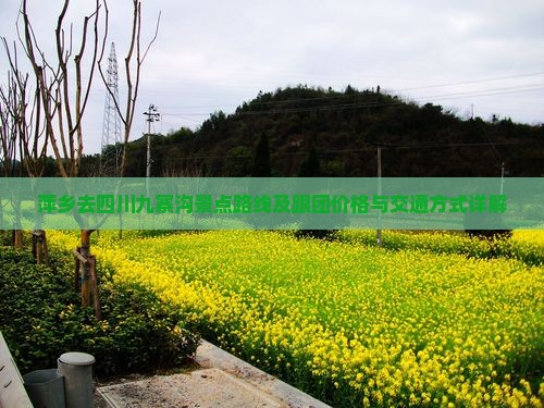 萍乡去四川九寨沟景点路线及跟团价格与交通方式详解 萍乡去四川九寨沟景点路线及跟团价格与交通方式详解