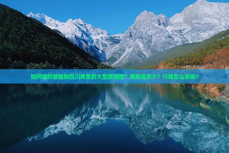如何组织楚雄到四川黄龙的大型旅游团？费用是多少？行程怎么安排？