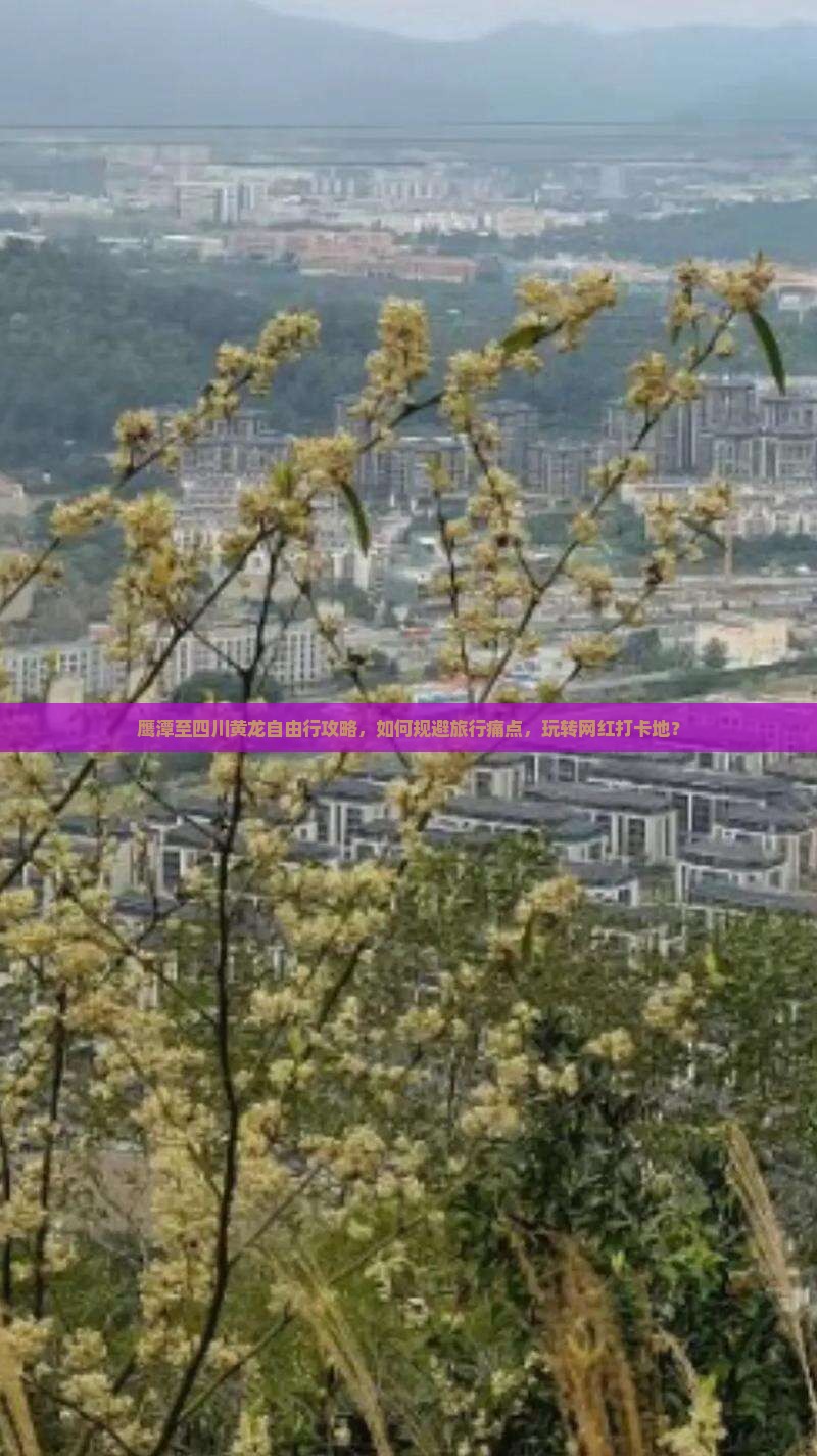 鹰潭至四川黄龙自由行攻略，如何规避旅行痛点，玩转网红打卡地？